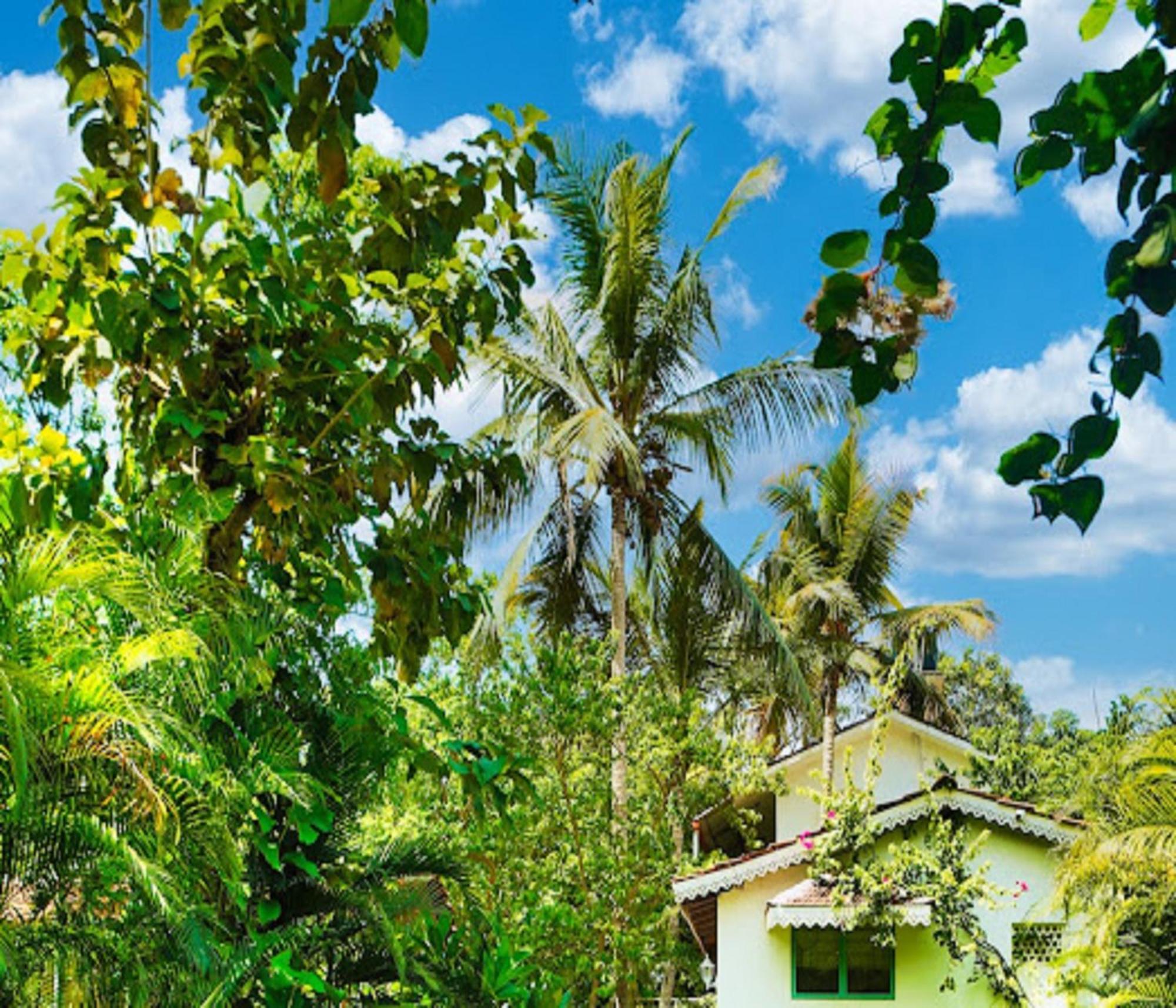 Lar Amorosa Boutique Hotel - Goa Calangute Kültér fotó